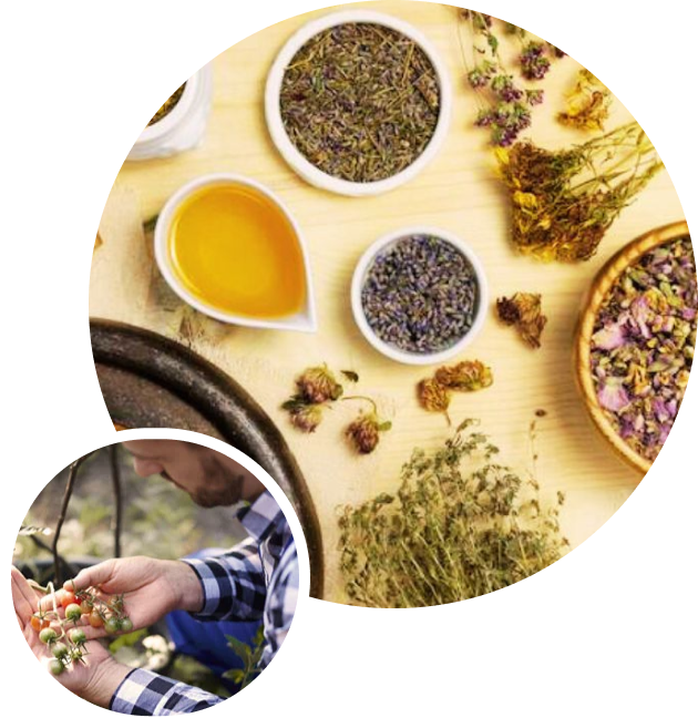 Herbs